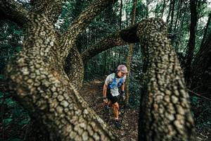 BIB: 
                            <button type="button" onclick="openModal(25392708)" class="btn btn-primary btn-sm float-right btn-popup" data-toggle="modal" data-target=".modal-high-quality">
                        <i class="fas fa-shopping-cart"></i> Add to Cart
                    </button>
                                            <button type="button" onclick="isThisMe(25392708, true)" class="btn btn-success btn-sm float-right btn-popup btn-isme hidden" data-toggle="tooltip" data-placement="bottom" title="นี่คือรูปของคุณใช่ไหม คลิกที่นี่เพื่อเอาเข้าอัลบั้ม">
                        <i class="fas fa-plus"></i> Add to album
                    </button>
                    <button type="button" onclick="isThisMe(25392708, false)" class="btn btn-warning btn-sm float-right btn-popup btn-isnotme hidden">
                        <i class="fas fa-ban"></i> Remove from album
                    </button>